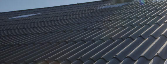 Svk dalfsen 22 neptunus blauwzwart lr