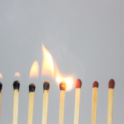 Adobe Stock 313442992