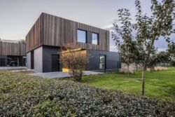 Ardonit glad voorbeeld