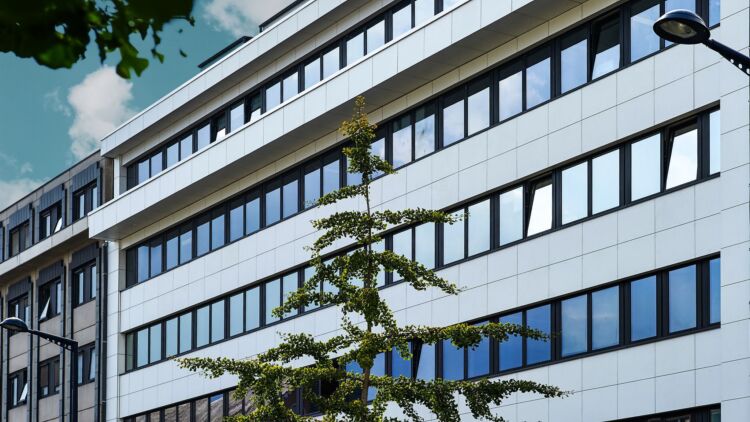 Decoboard classic header