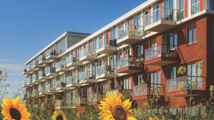 Colormat classic platen header