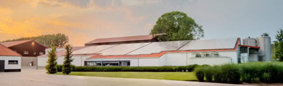 Svk kruibeke Golfplaten 31 web