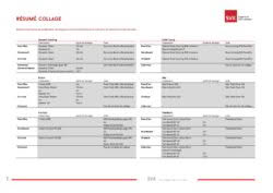 Svk fr Resume collage v2022 01